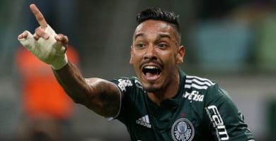Zagueiro se declara ao Palmeiras